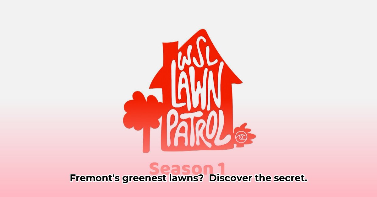lawn-patrol